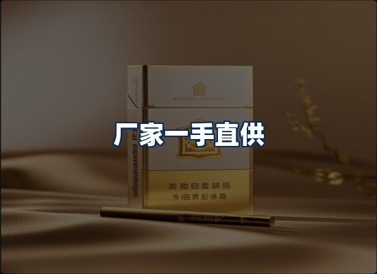 专业团队办公环境